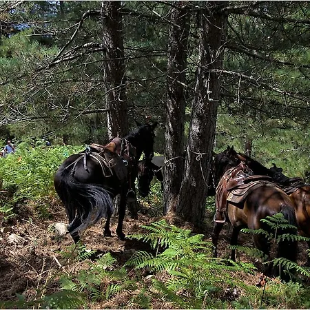 Des Deux Sorru 2* Poggiolo (Corsica)
