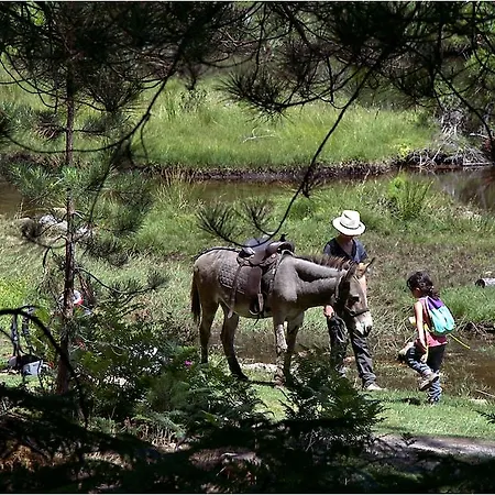 Hotel Des Deux Sorru Poggiolo (Corsica)