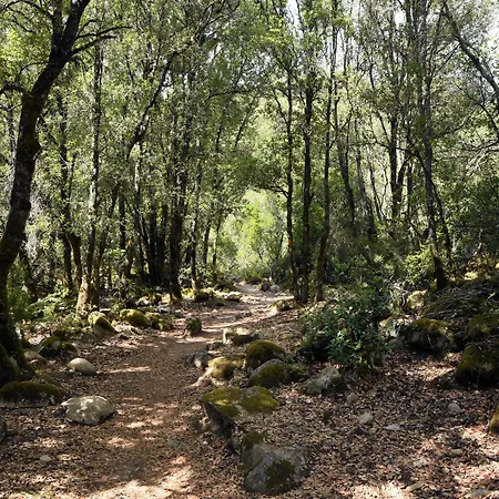 Hotel Des Deux Sorru