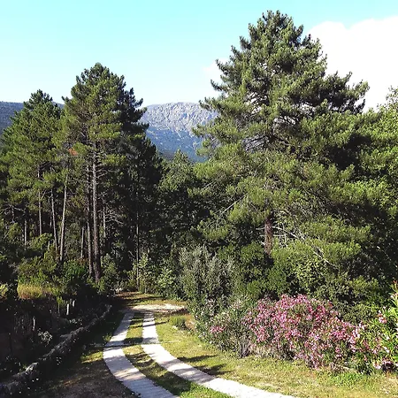 Hotel Des Deux Sorru Poggiolo (Corsica)