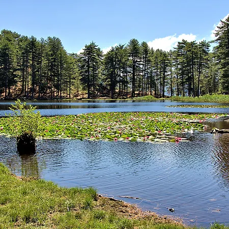 Des Deux Sorru Hotel