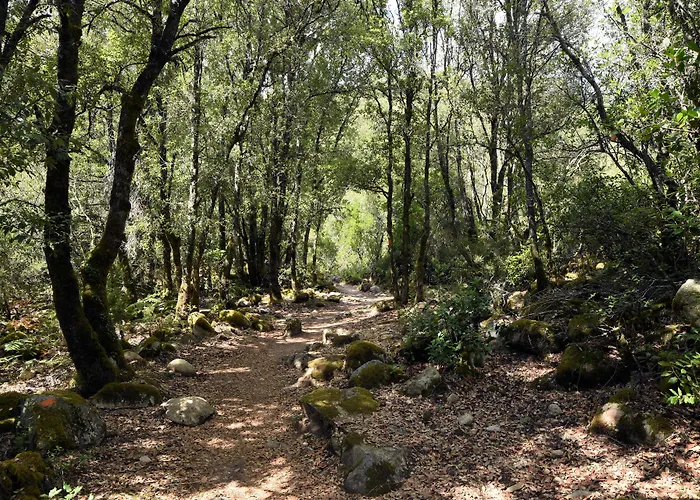 Hotel Des Deux Sorru