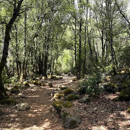 Hotel Des Deux Sorru Poggiolo (Corsica)