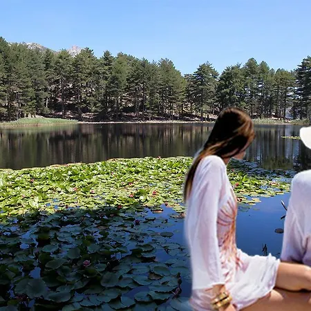 Des Deux Sorru Hotel Poggiolo (Corsica)