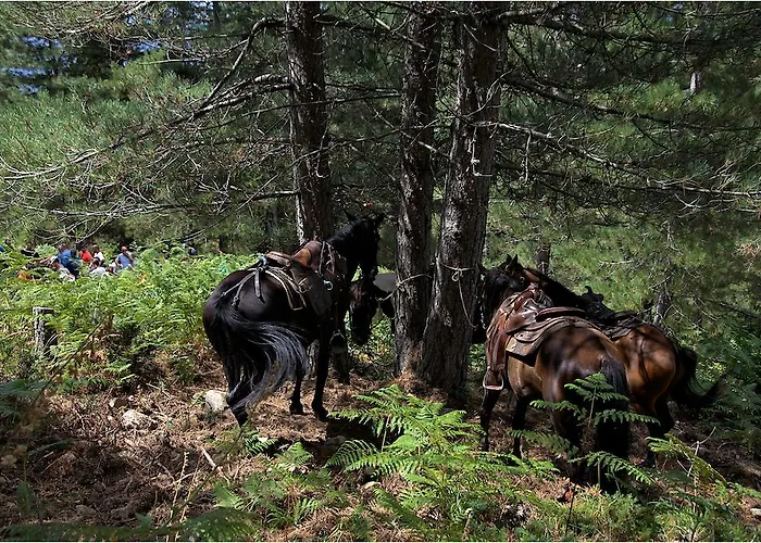 Des Deux Sorru 2* Poggiolo (Corsica)