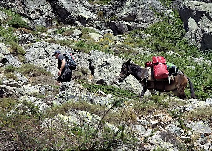 Hotel Des Deux Sorru 2*