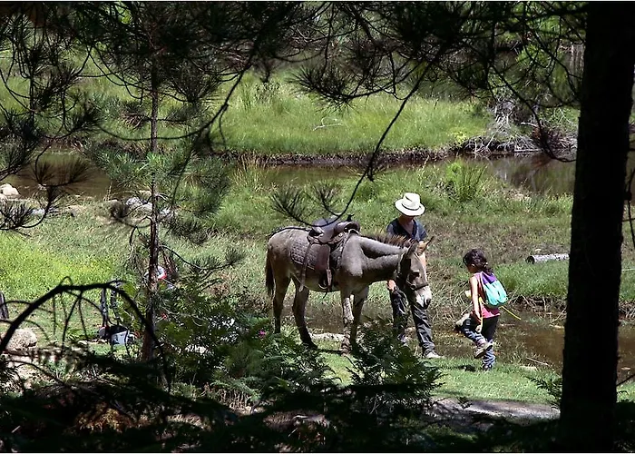 Hotel Des Deux Sorru Poggiolo (Corsica)