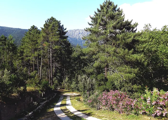 Hotel Des Deux Sorru Poggiolo (Corsica)