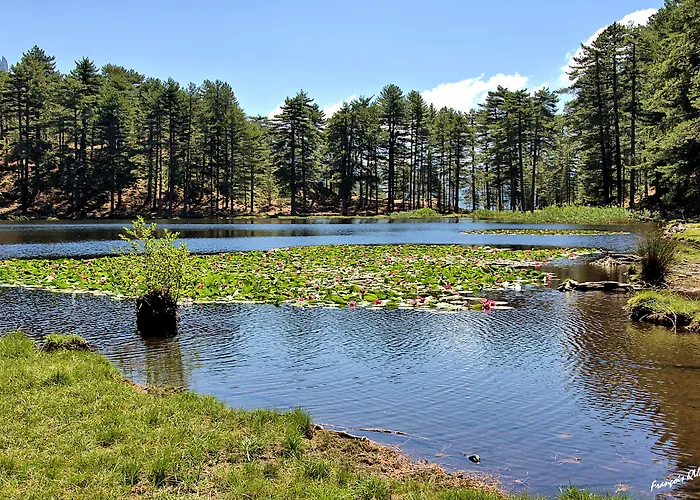 Des Deux Sorru Hotel